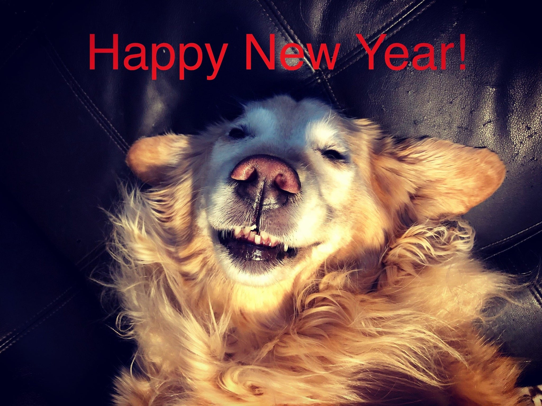 Original Sin Jewelry Manifesto - Original Sin Jewelry