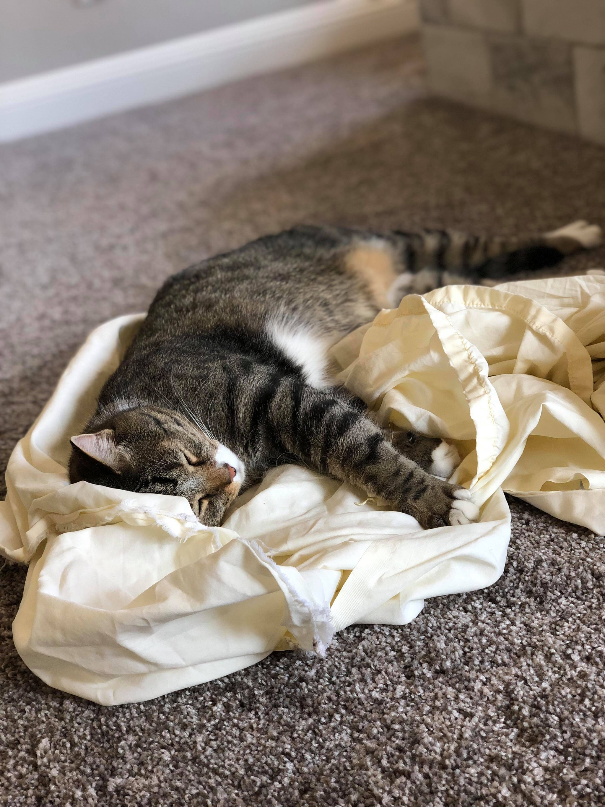 Who Am I Without Struggle?? - Original Sin Jewelry