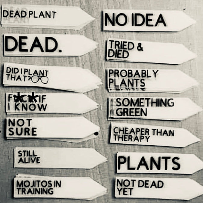 Garden Markers for Margaret's Succulent Garden