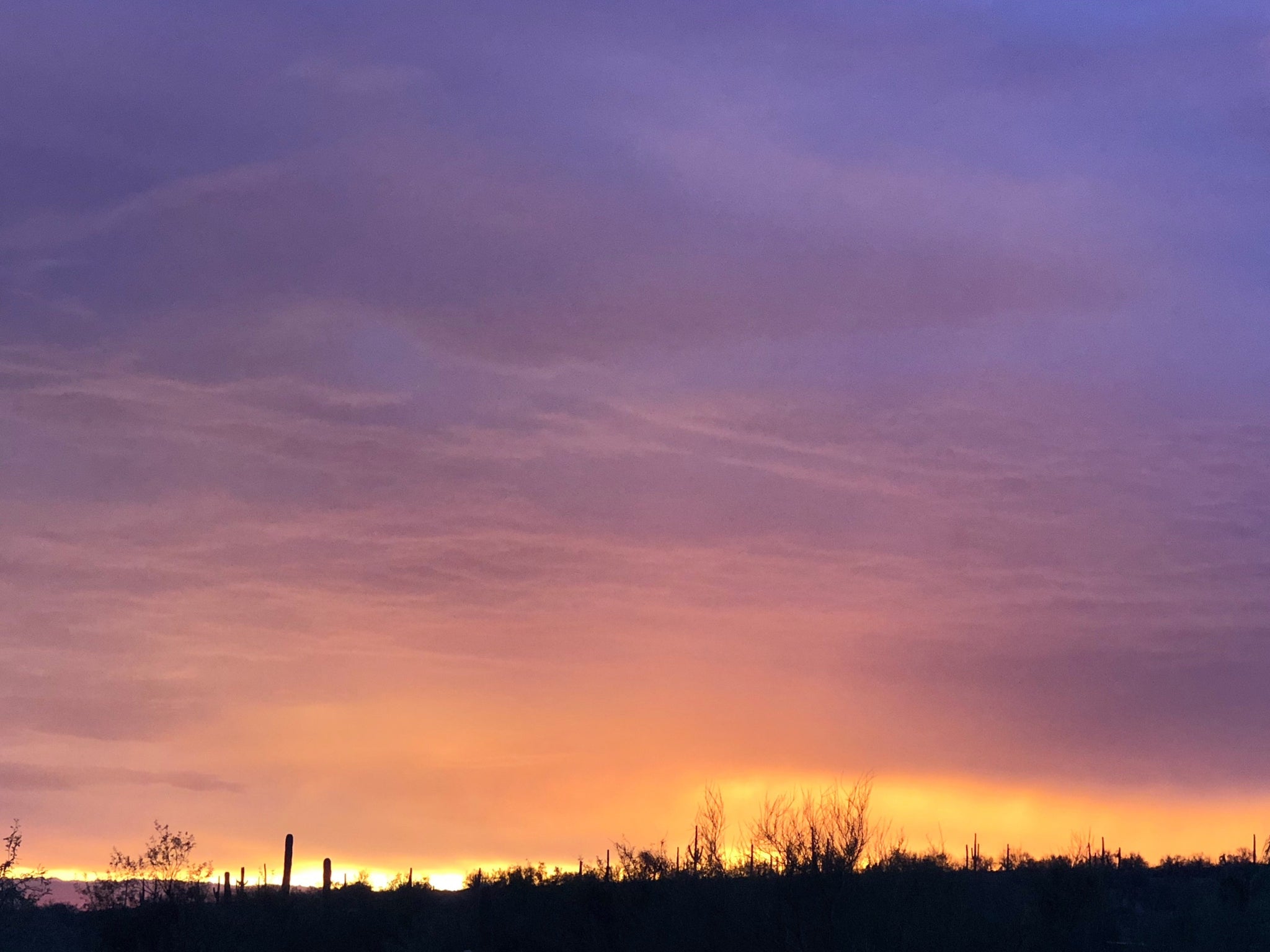 Stretching Sunlight - Original Sin Jewelry