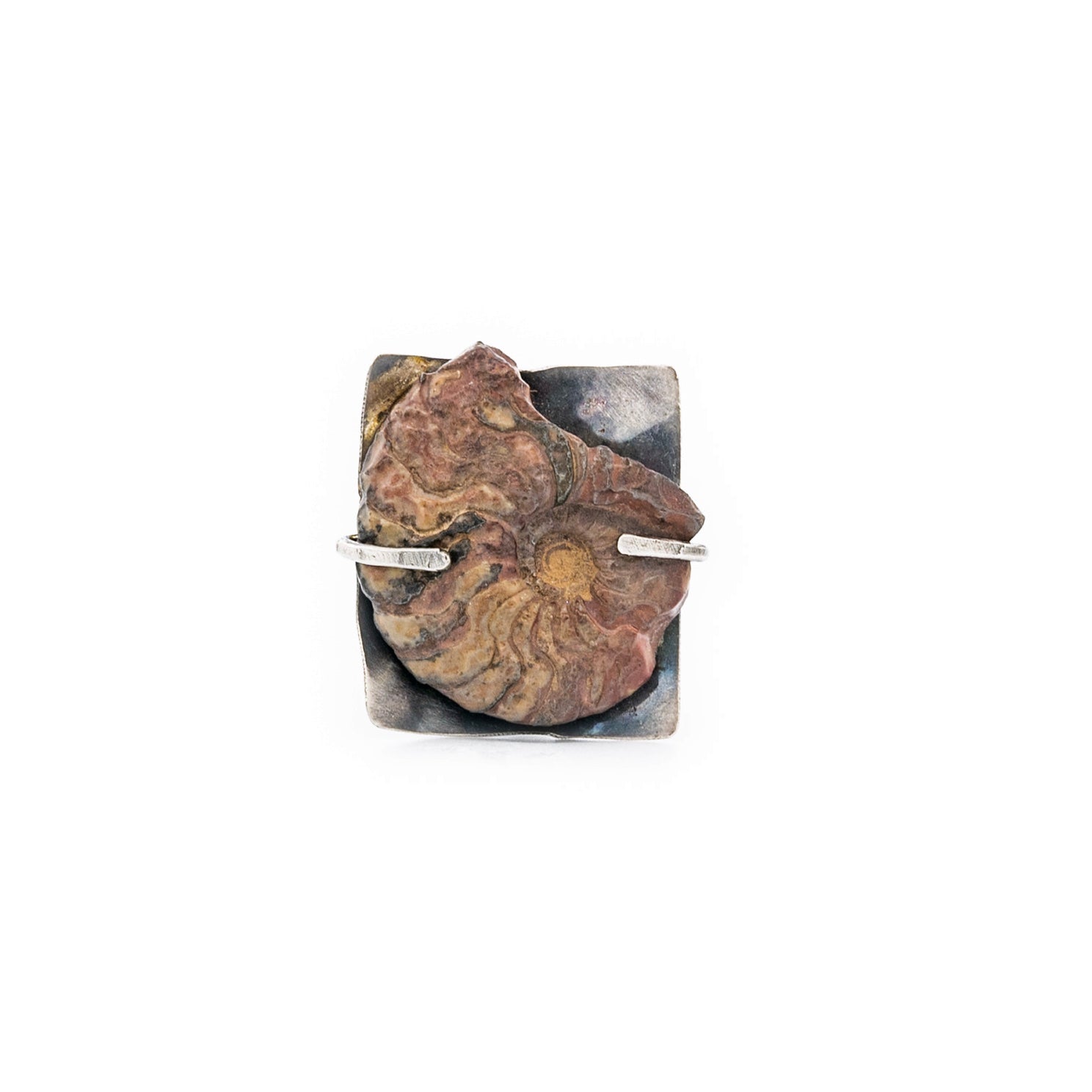Fossilized Ammonite Ring Woven Oxidized Silver by Original Sin Jewelry 
